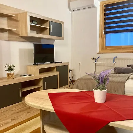 Gancz Apartment